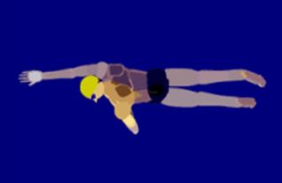 Guía Para Tu Primera Clase De Natación Para Adultos
