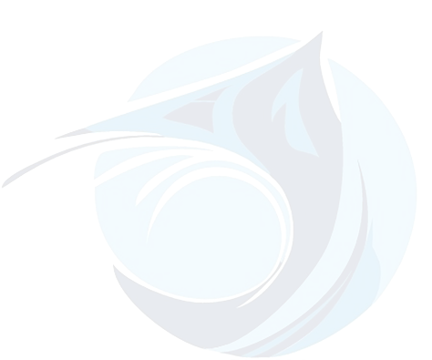 Isotipo de Ivan Avedaño Swimming Academy